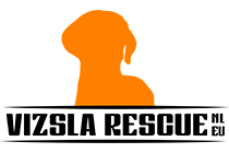 Vizsla Rescue NL EU