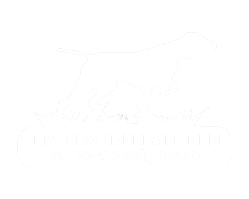 Aalborg DIAP logo_350 x 280 px 72 dpi