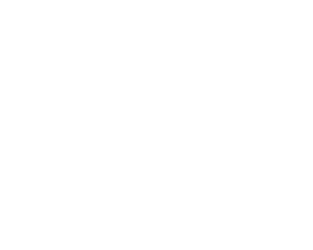 SoulShaker DIAP logo_350 x 280 px 72 dpi