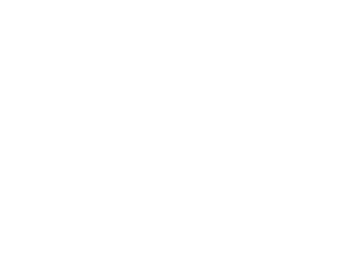 Vita Transport DIAP logo_350 x 280 px 72 dpi