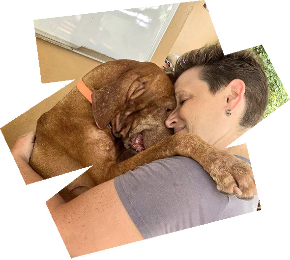https://vizslarescue.nl/wp-content/uploads/2024/11/sept-HERO-IMAGE-590-x-530-px-72-dpi.jpg