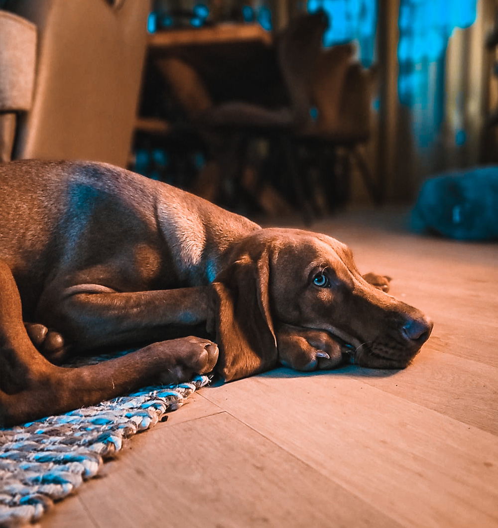 #4 HIKING TOUR SPRING #4 HIKING TOUR SPRING