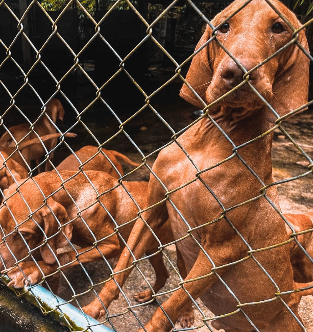 #4 HIKING TOUR SPRING #4 HIKING TOUR SPRING