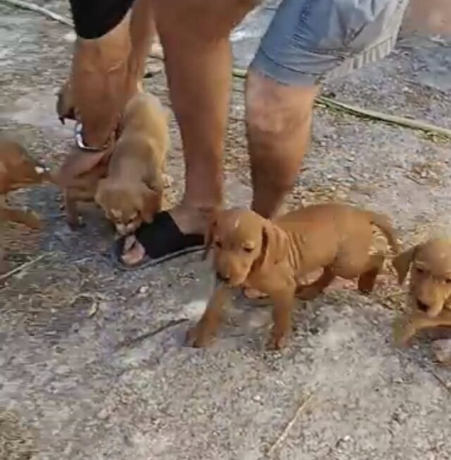 450608397_8743722282322383_1158656268868786282_n