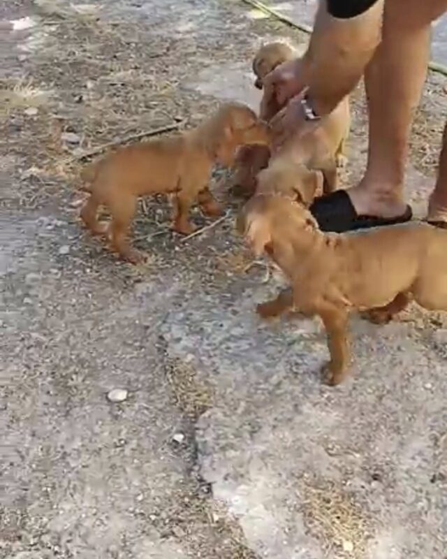 450751784_8743722435655701_1034348260978748355_n