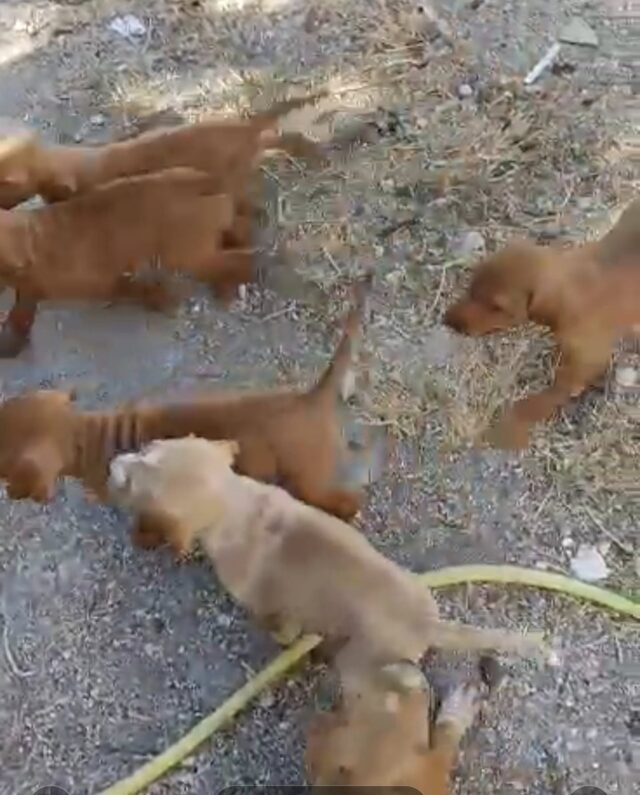 450775071_8743722175655727_4444874948865266775_n