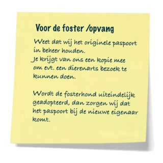 https://vizslarescue.nl/wp-content/uploads/2025/03/Vizsla-notes-PASPOORT-320x320.jpg