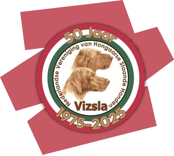 https://vizslarescue.nl/wp-content/uploads/2025/05/Ned-Vereniging-Vizsla-HERO-IMAGE-590-x-530-px-72-dpi.png