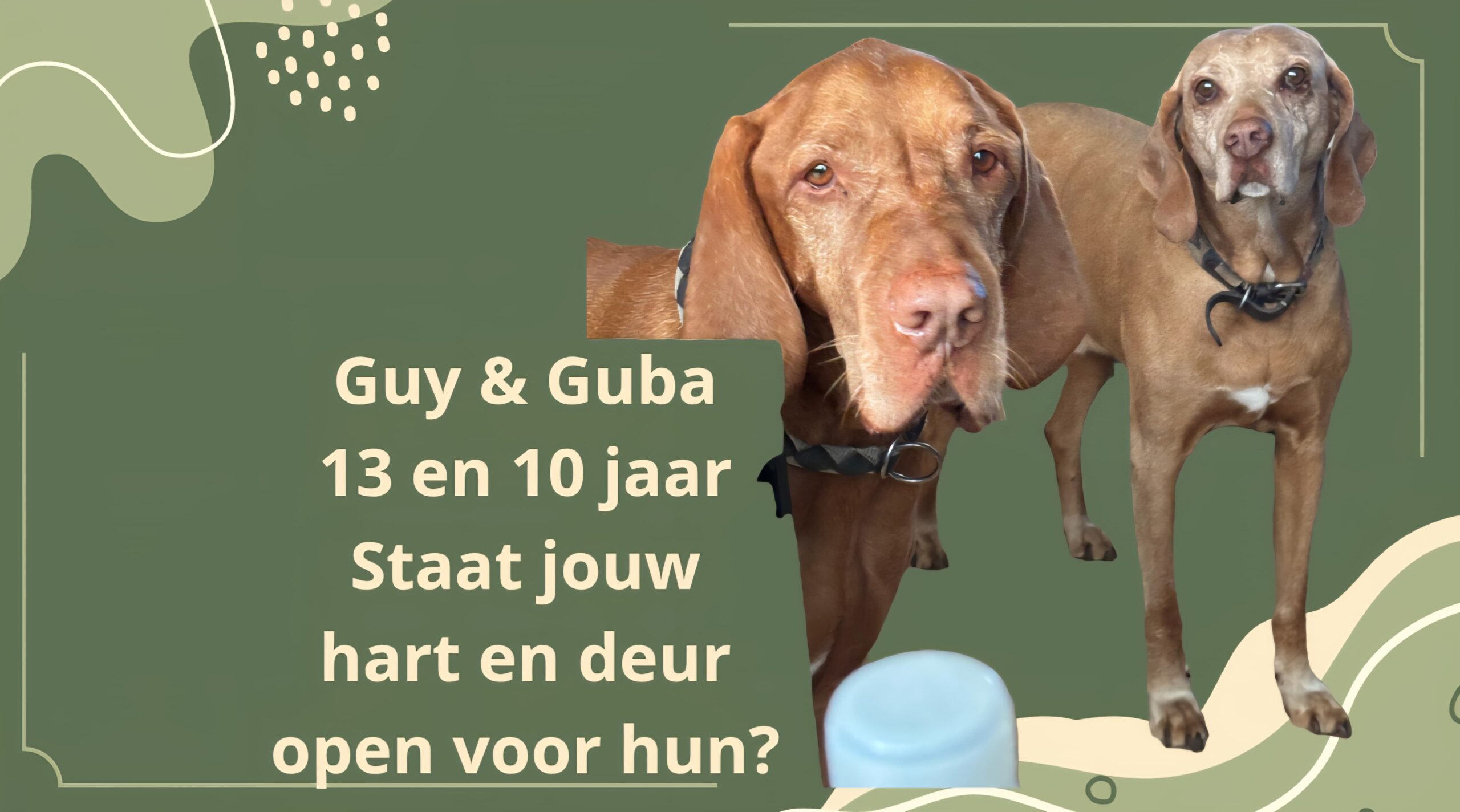 GUY & GUBA