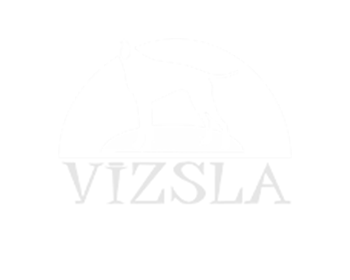 Vizsla in Not DIAP logo_350 x 280 px 72 dpi