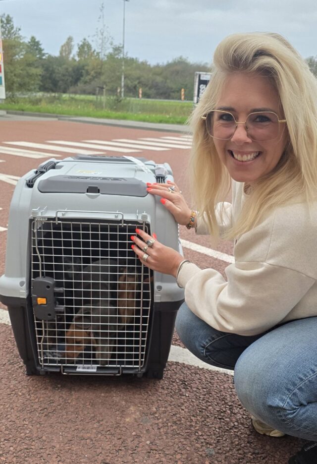 558931615_1412926594169597_6542779791381170123_n