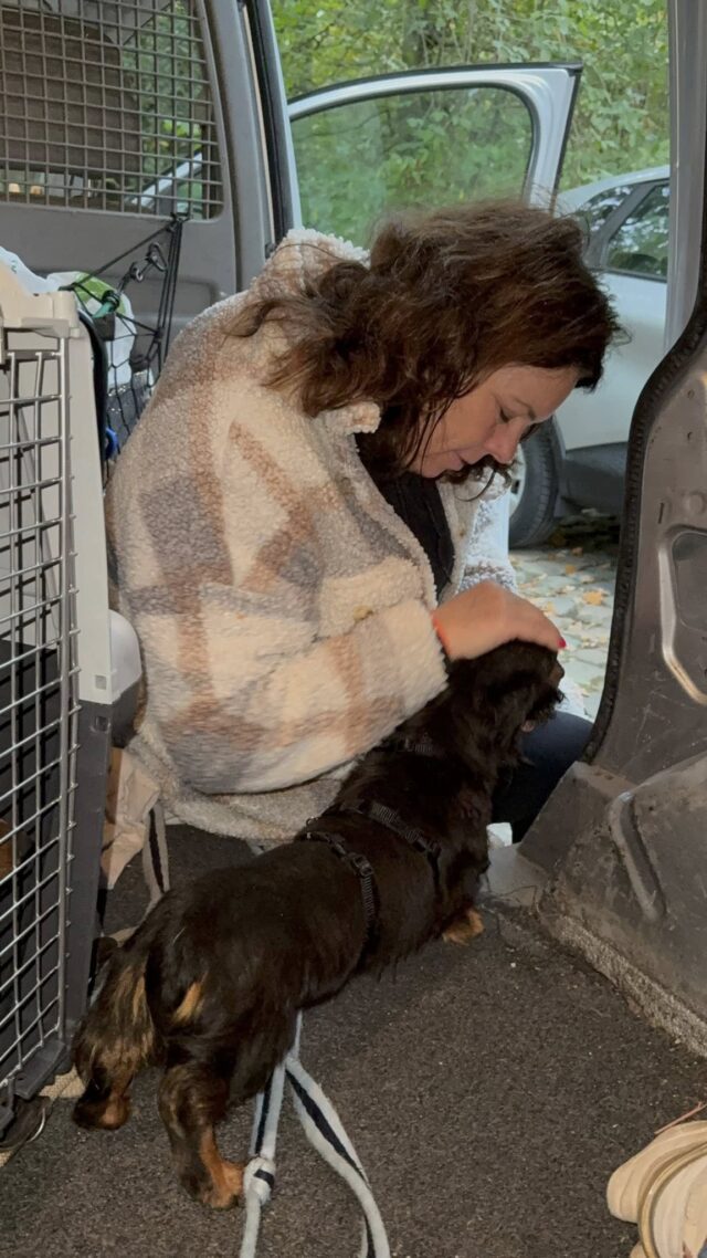 558992754_1412930624169194_8937957556183338101_n