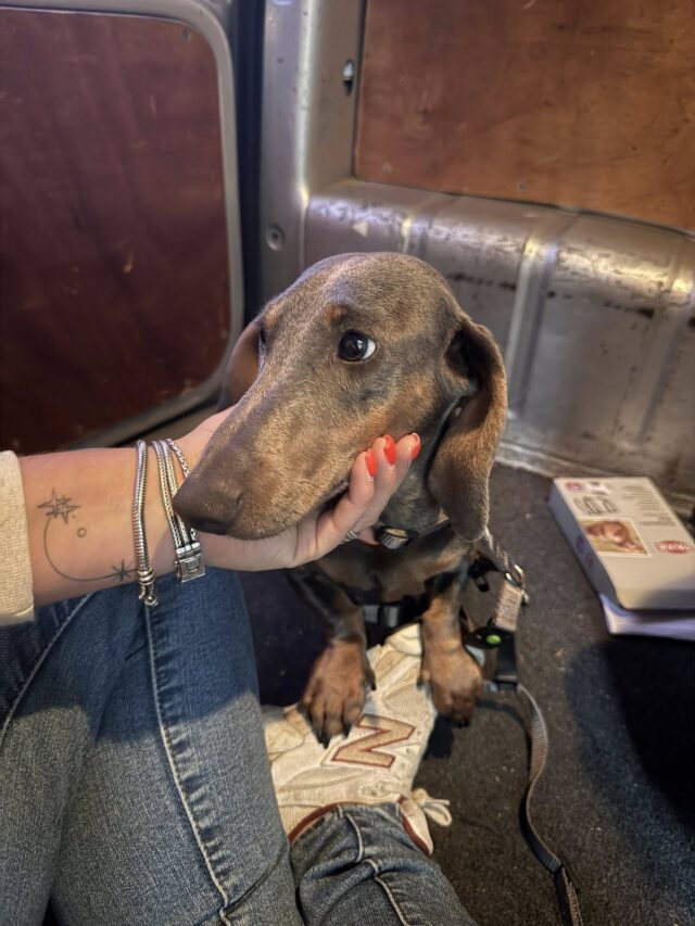 560165189_1412930687502521_4355600963004145163_n