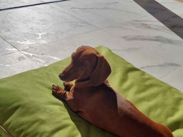 574342411_18535419865024797_6639607143466348197_n