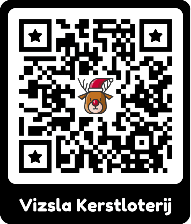 https://vizslarescue.nl/wp-content/uploads/2025/11/Vizsla-Kerstloterij-640x747.png