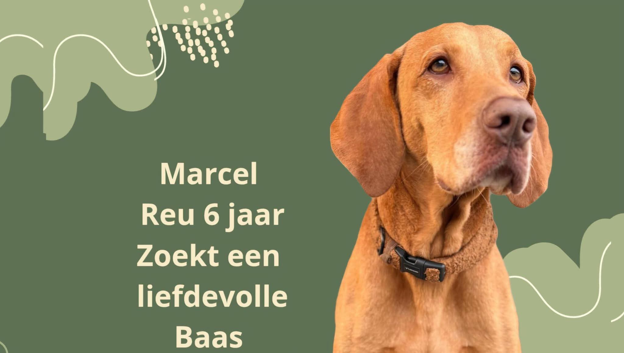 MARCEL
