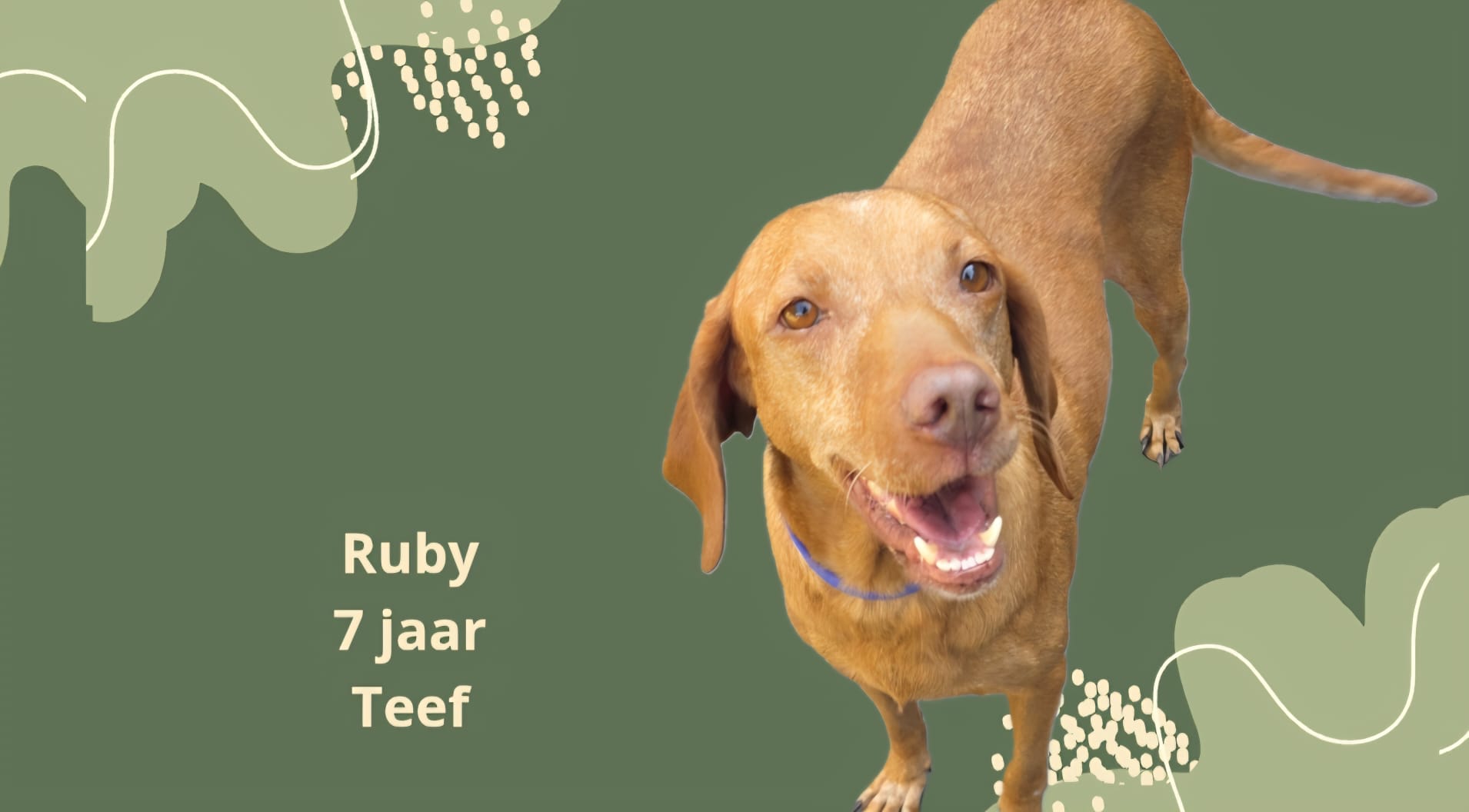 RUBY