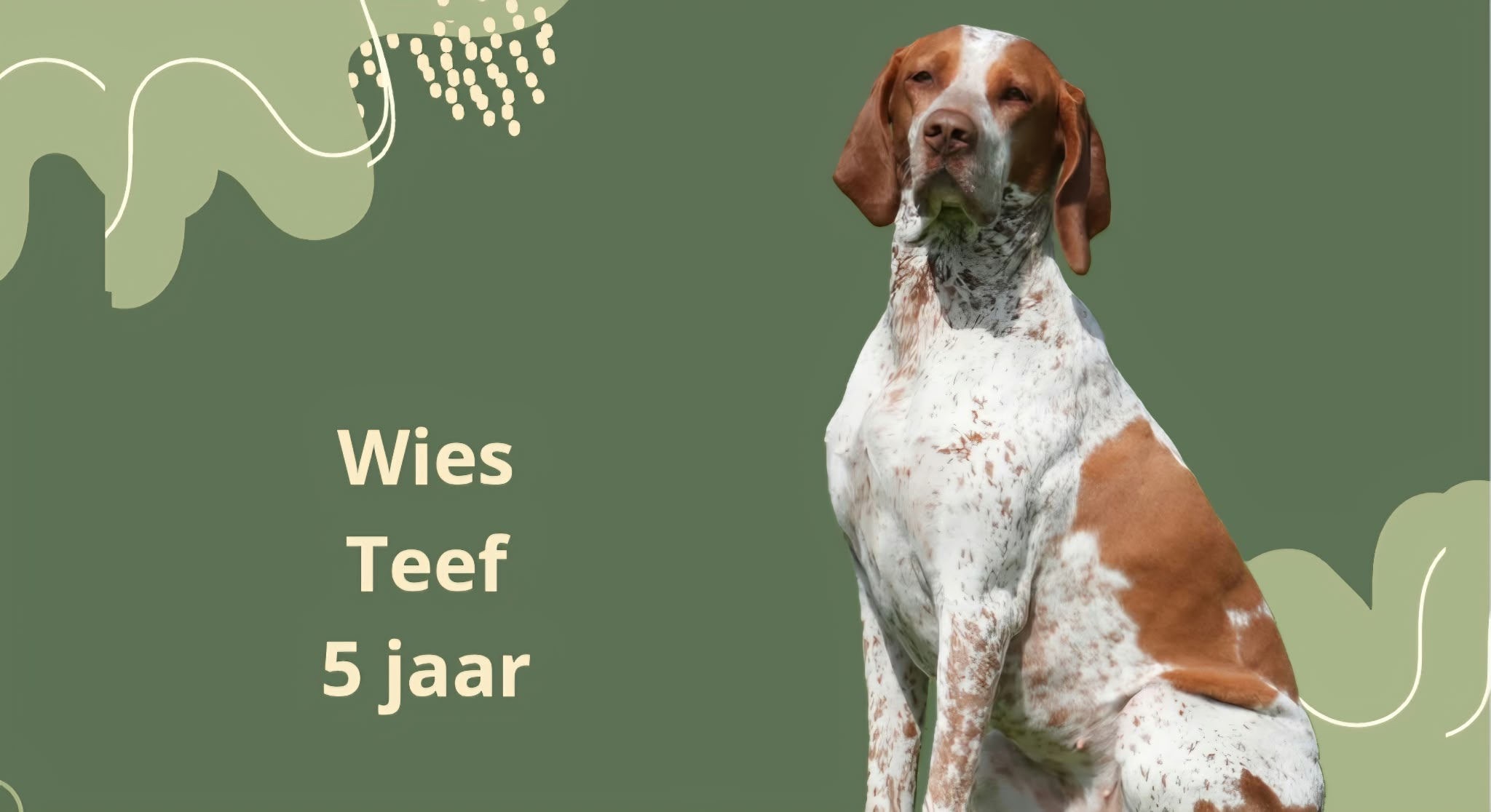 WIES